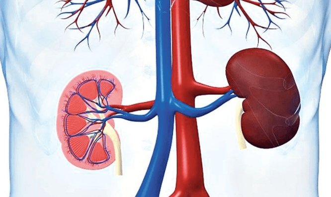 Suy thận giai đoạn 3 sống được bao lâu?