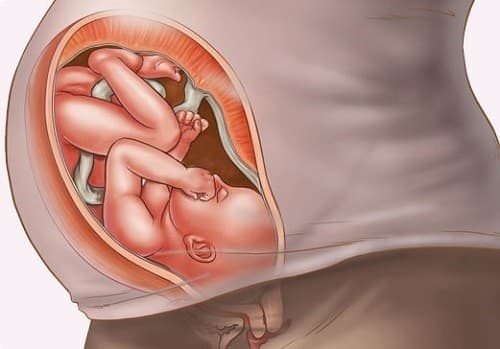 thai-35-tuan-phat-trien-the-nao-1