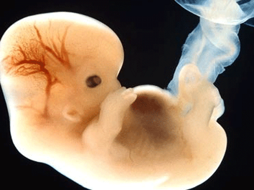 thai-6-tuan-phat-trien-ra-sao-1