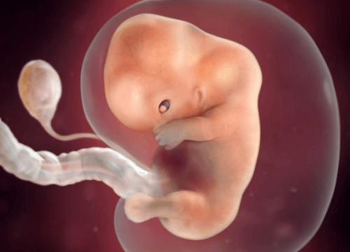 thai-9-tuan-va-nhung-dieu-can-biet-1