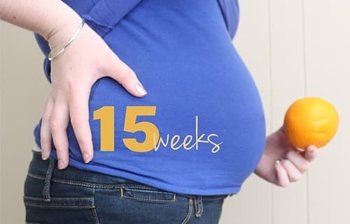 Bé đang lớn dần lên từng ngày, 15 tuần bé có kích thước bằng 1 quả cam.