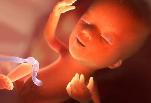 Sự phát triển của thai nhi 15 tuần thế nào, mẹ đã biết chưa?