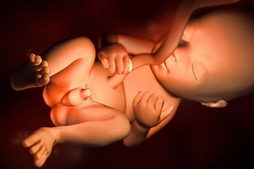 thai-nhi-20-tuan-phat-trien-the-nao-1