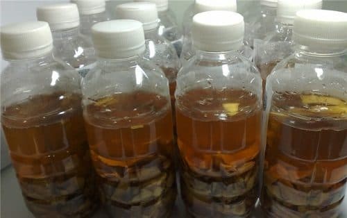 Ngâm lá lược vàng với mật gấu cũng có công dụng trị đau dạ dày