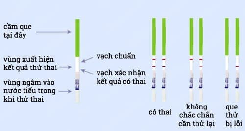 Dùng que thử thai đúng cách để cho kết quả chính xác nhất.