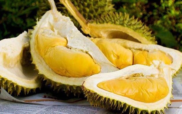 Nếu chị em đang băn khoăn niêm mạc tử cung mỏng ăn gì thì không nên bỏ qua sầu riêng