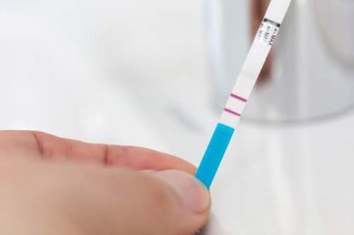 Thực hiện thử thai tại nhà có thể cho biết có đang mang thai hay không?