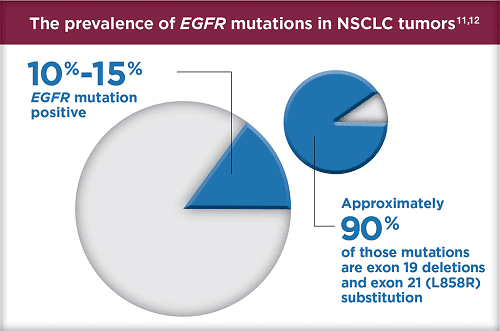 Xét nghiệm EGFR là gì