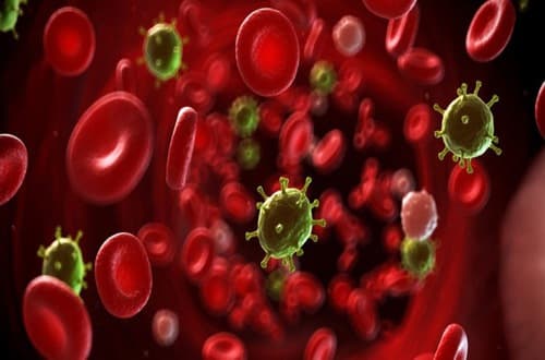 Bệnh nhiễm trùng máu dễ gây biến chứng nguy hiểm