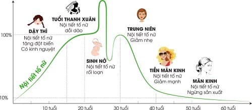 Đến thời kỳ mãn kinh, cơ chế sản xuất estrogen của cơ thể giảm.