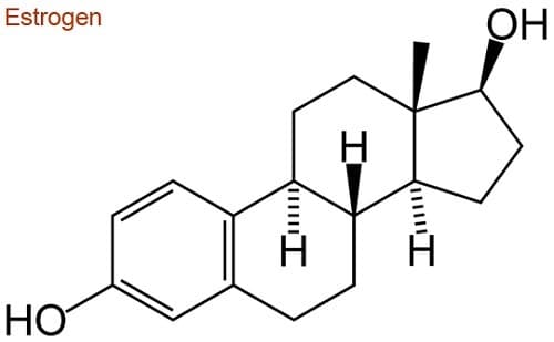 Hoóc-môn nữ estrogen là gì? 