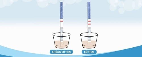 Dùng que thử đúng cách theo từng bước chỉ dẫn.