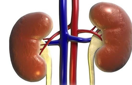 nhung-trieu-chung-suy-than-o-nu-gioi-1