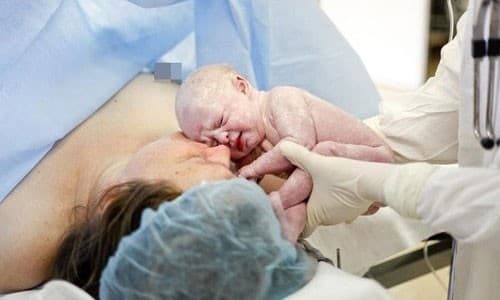 sinh-mo-co-the-sinh-duoc-may-lan-1