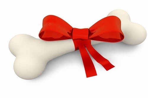 Một vài hiểu biết về xương đó là xương của bạn rắn hơn cả xi măng