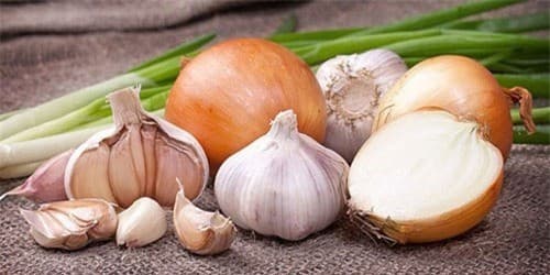 Tỏi và hành tây có tính sát trùng và kháng khuẩn cao không chỉ khiến món ăn thêm hương vị thơm ngon mà còn rất tốt cho sức khỏe.