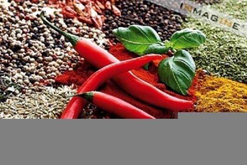 Những gia vị mạnh như giấm ớt, tiêu, tỏi… không tốt cho người bị xuất huyết tiêu hóa.