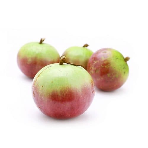 Vú sữa giúp mẹ có sức đề kháng chống lại bệnh tật