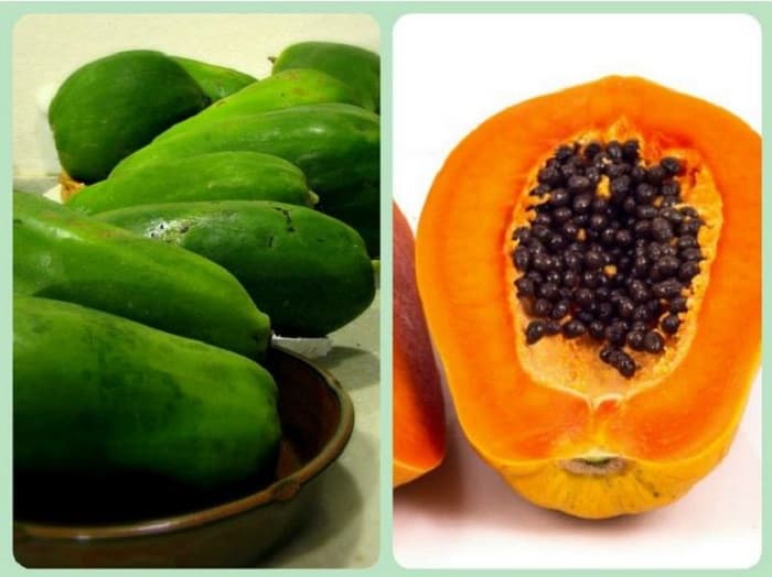 Tại sao bạn nên ăn đu đủ khi cho con bú