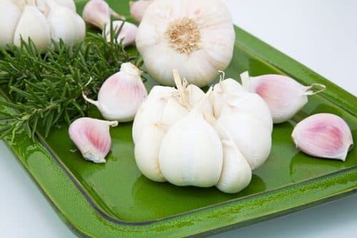 Ăn tỏi với liều lượng vừa phải, ăn tỏi đúng cách sẽ đẩy lùi được chứng đầy hơi chướng bụng khó tiêu 