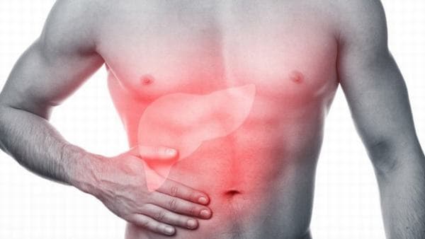 Khi bị gan nhiễm mỡ, người bệnh sẽ thấy xuất hiện các triệu chứng như chán ăn, mệt mỏi, vàng da