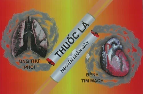 Thuốc lá làm tăng nguy cơ mắc bệnh tim mạch