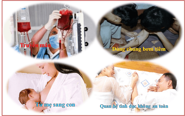 Virut viêm gan C có khả năng lây lan từ người này sang người khác qua máu, quan hệ tình dục, từ mẹ sang con