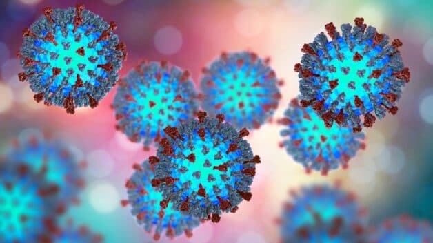 Virus Sởi, thuộc Morbillivirus của họ Paramyxoviridae là nguyên nhân gây bệnh sởi ở trẻ