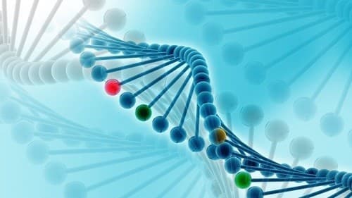 Di truyền trong ung thư gần như rất ít