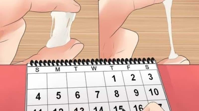 Có chất nhầy bao lâu thì rụng trứng là câu hỏi nhiều chị em quan tâm