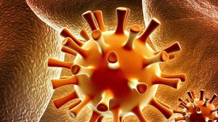 Đậu bắp chứa hàm lượng axít folic khá cao hỗ trợ các bệnh tim mạch hoặc chống ung thư đẻ mổ ăn đậu bắp được không