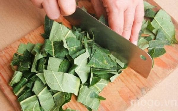 Bài thuốc dân gian chữa ung thư phổi