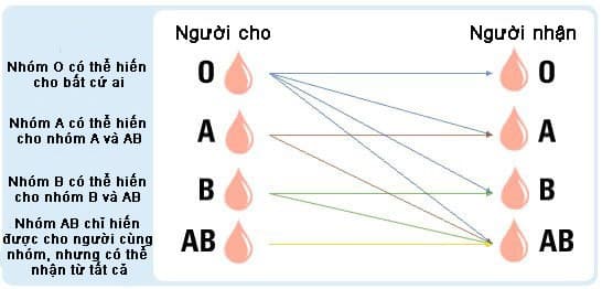 Các lý do phổ biến cho việc kiểm tra nhóm máu bao gồm: khám thai, phẫu thuật, hiến nội tạng, truyền máu