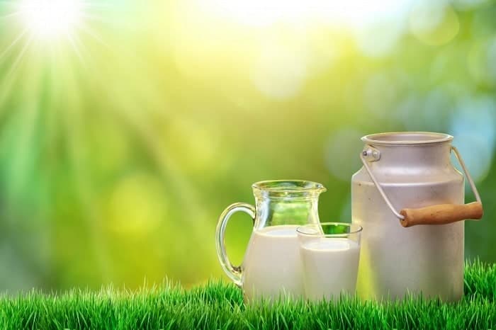 sưa tốt cho mẹ bầu mang thai 3 tháng đầu