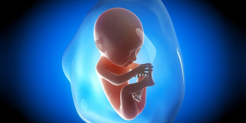 Dựa vào kỳ kinh, ngày thụ thai, ngày cử động của thai nhi,.. mẹ có thể tính trước ngày dự sinh của con