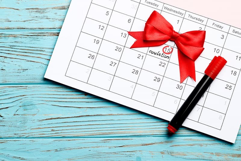 Có rất nhiều cách tính tuổi thai nhi như dựa vào ngày đầu tiên kinh nguyệt, ngày quan hệ và rụng trứng,..