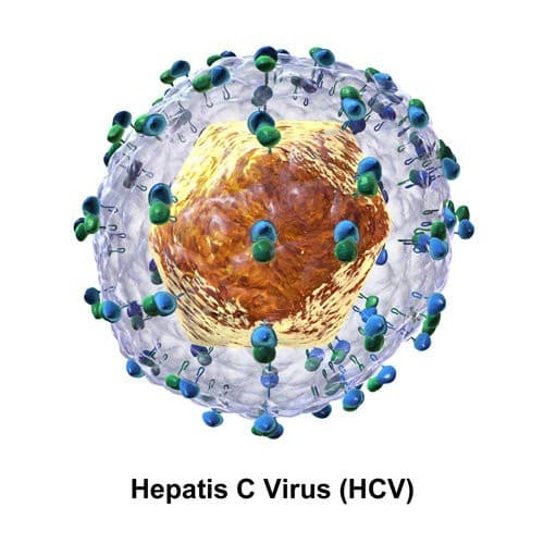 Viêm gan C là bệnh truyền nhiễm do vi rút Hepatitis C (HCV) xâm nhập vào tế bào gan gây ra.