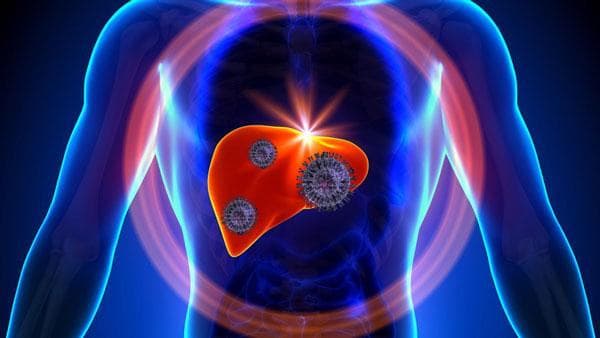 Virut viêm gan C có thể lây truyền từ người này sang người khác