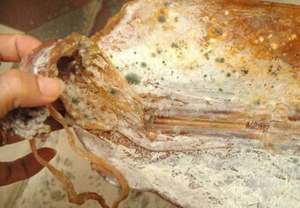 Mách bạn cách “ăn đúng” để phòng ung thư đường tiêu hóa