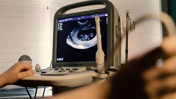 Tim thai hình thành từ rất sớm và phát triển trong suốt thai kỳ cho tới khi hoàn thiện cả về hình dáng, chức năng.