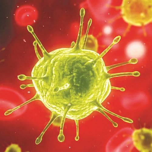 Xét nghiệm chỉ số Anti HCV nonreative là xét nghiệm nhằm sàng lọc virus viêm gan C.