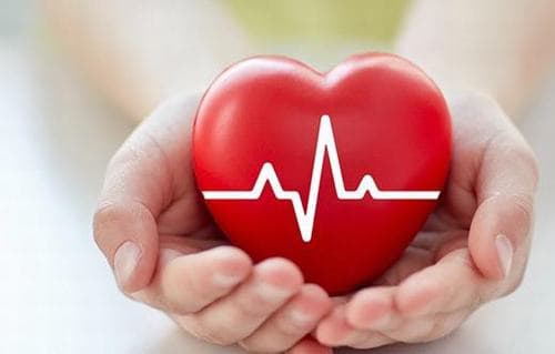 Nên đếm nhịp tim khi nghỉ ngơi, tốt nhất là buổi sáng lúc ngủ dậy, trước khi bắt đầu các hoạt động trong ngày. 