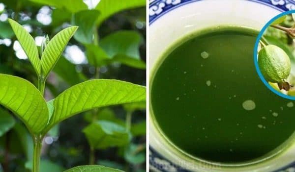 trị hôi miệng bằng cách nào