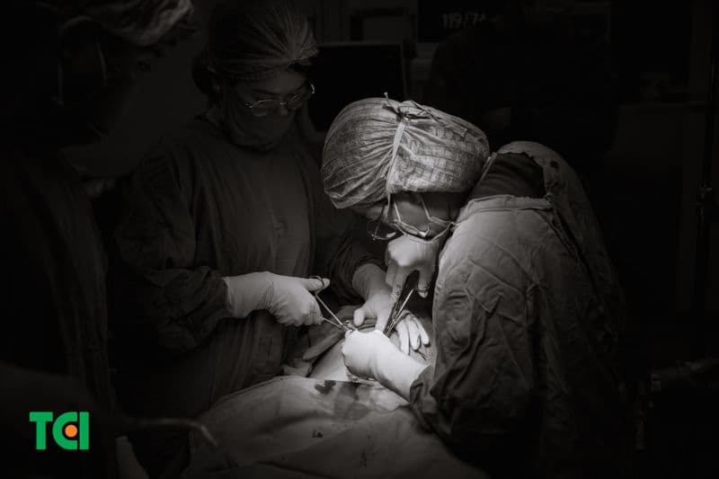 Nguyễn Thị Hồng Ánh