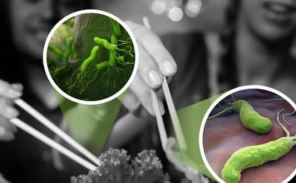 vi khuẩn hp có nguy hiểm không?