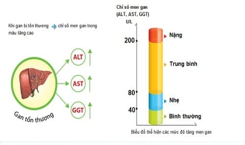 Chỉ số GGT bao nhiêu là nguy hiểm? (ảnh minh họa)