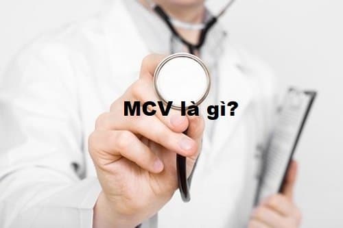 chỉ số MCV là gì