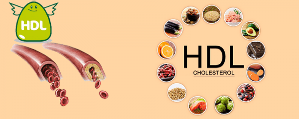 HDL là gì - HDL-Cholesterol được coi là cholesterol 