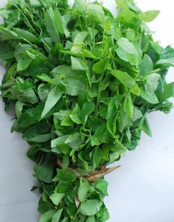 Mổ ruột thừa nên ăn rau gì là quan tâm của rất nhiều người.