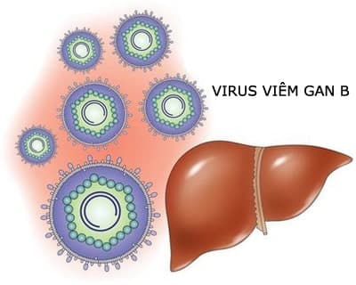 virus B được mệnh danh là “kẻ giết người thầm lặng”